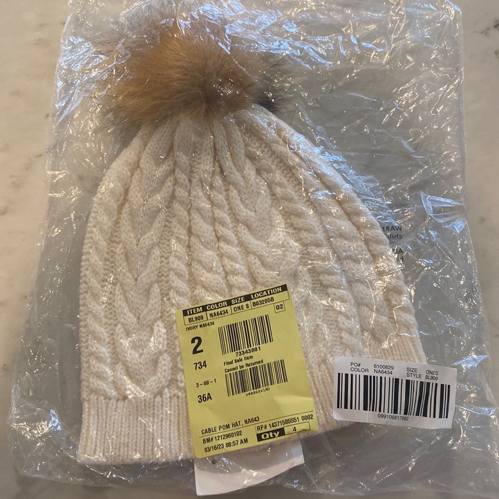 Jcrew factory Pom knit beanie